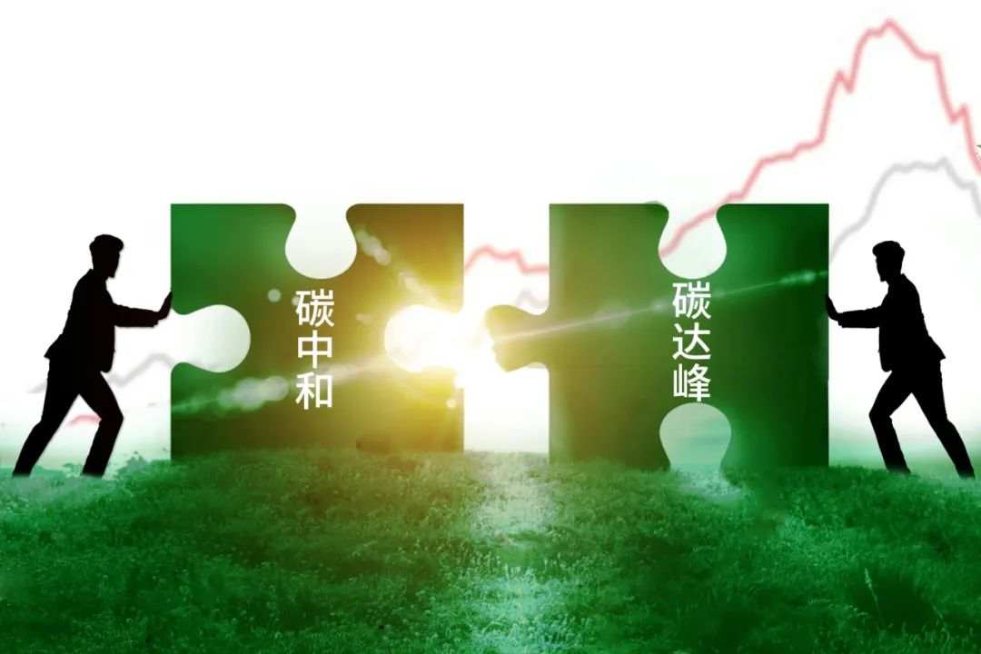 feed-image-0