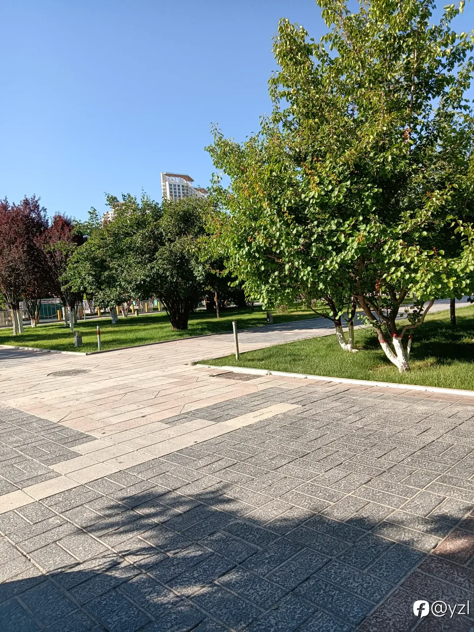 feed image