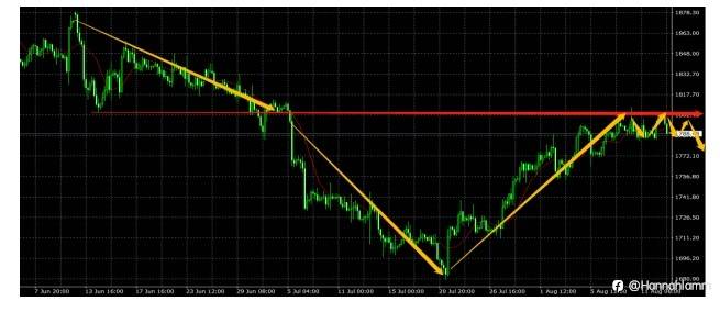 feed-image-0