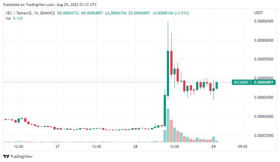 Giá Coin hôm nay 29/8: Bitcoin đóng tuần dưới $20k, altcoin ảm đạm khi chuyên gia cảnh báo thị trường toàn cầu sẽ chỉ trở nên tồi tệ hơn