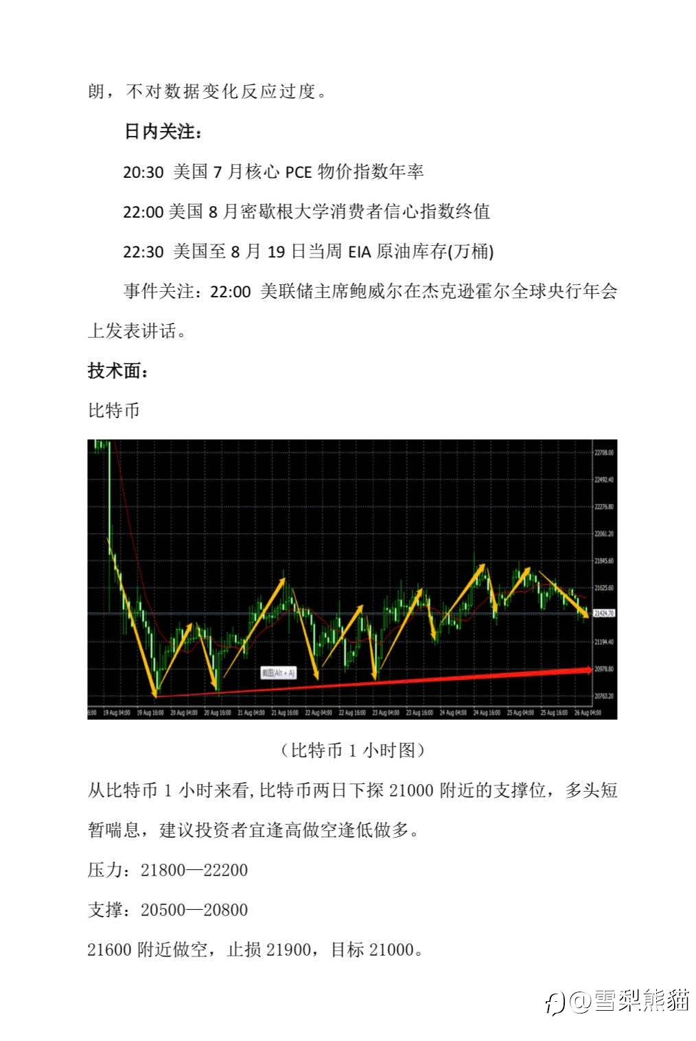 26/8拓利汇评
