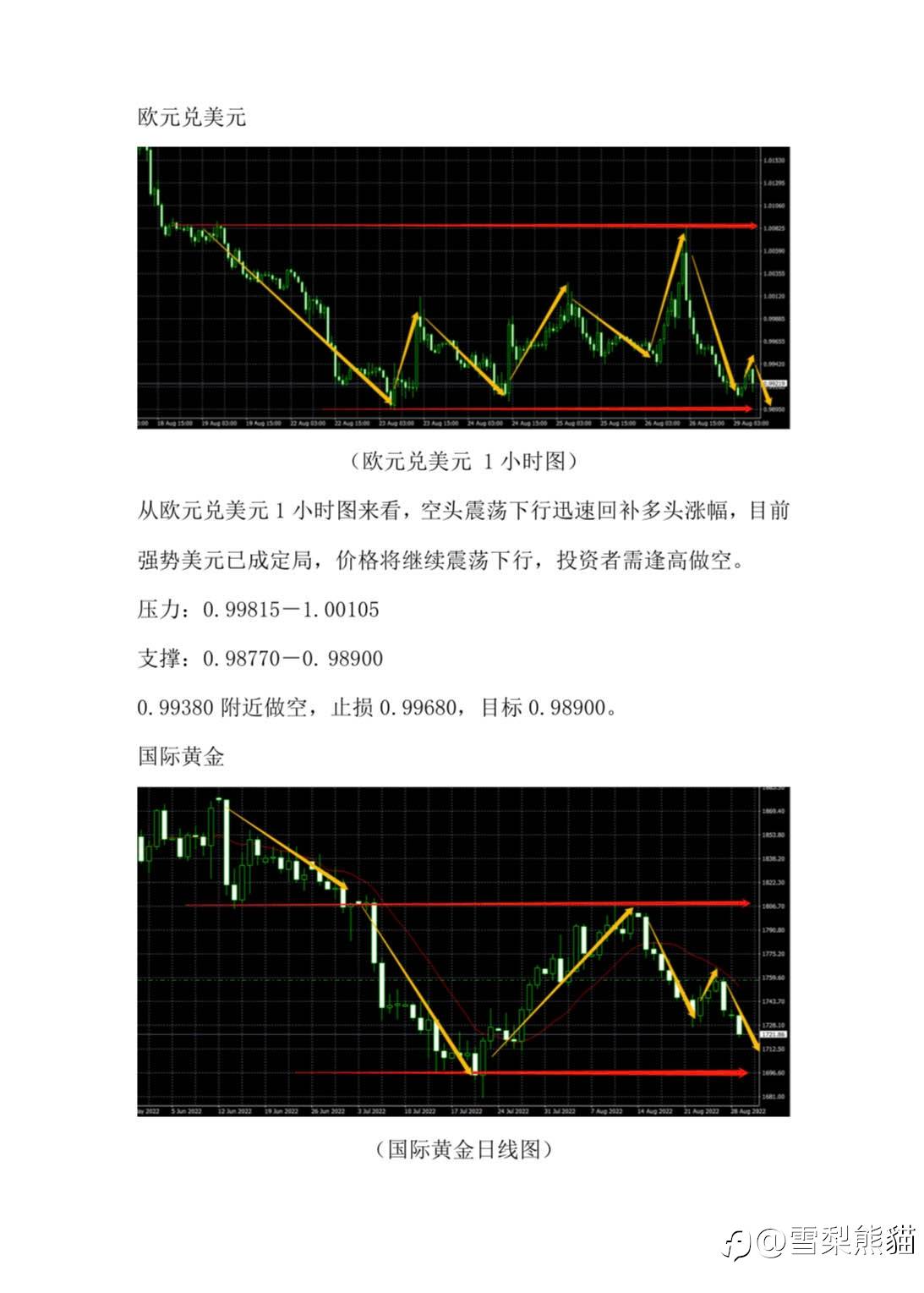 29/8拓利汇评