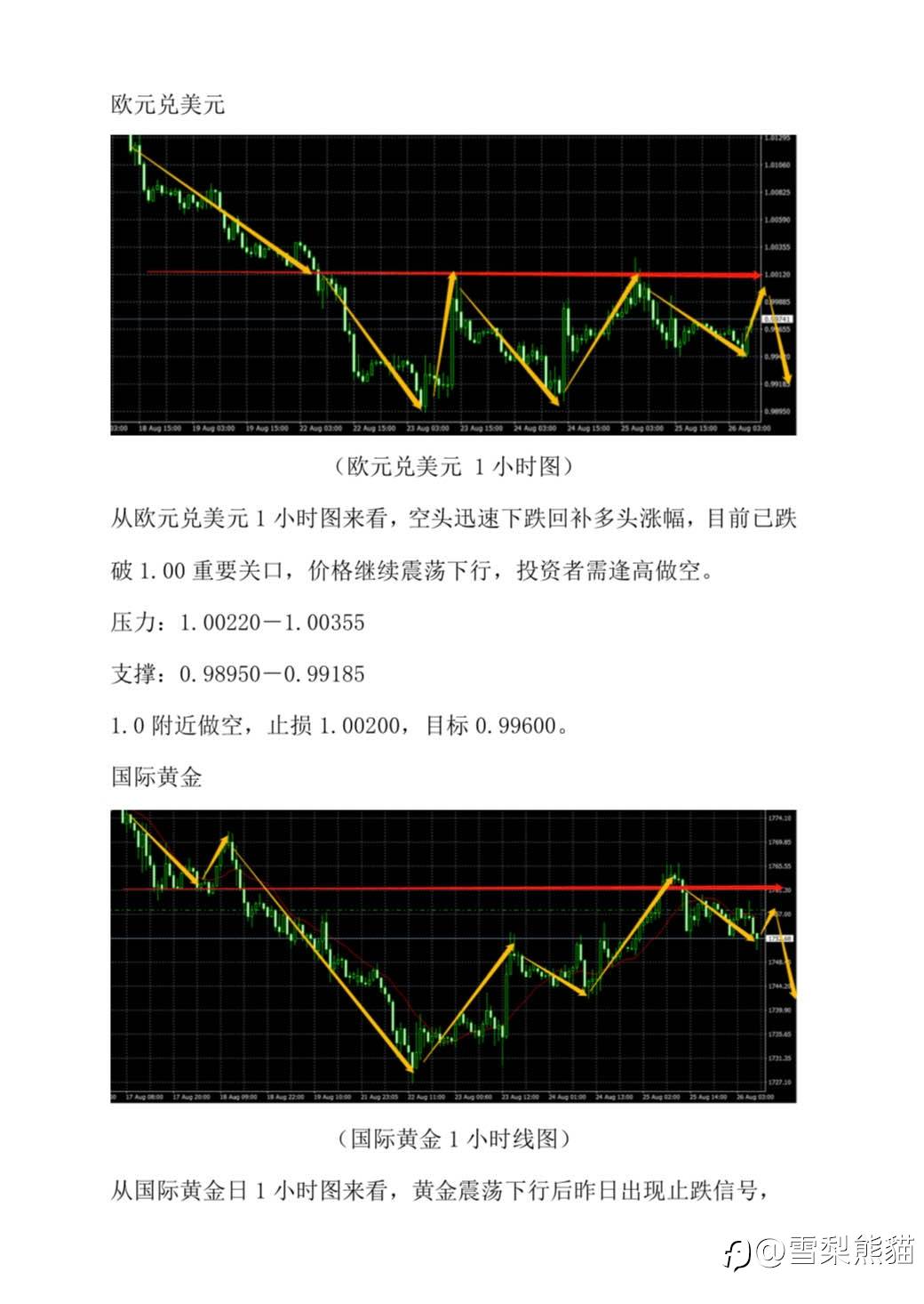 26/8拓利汇评