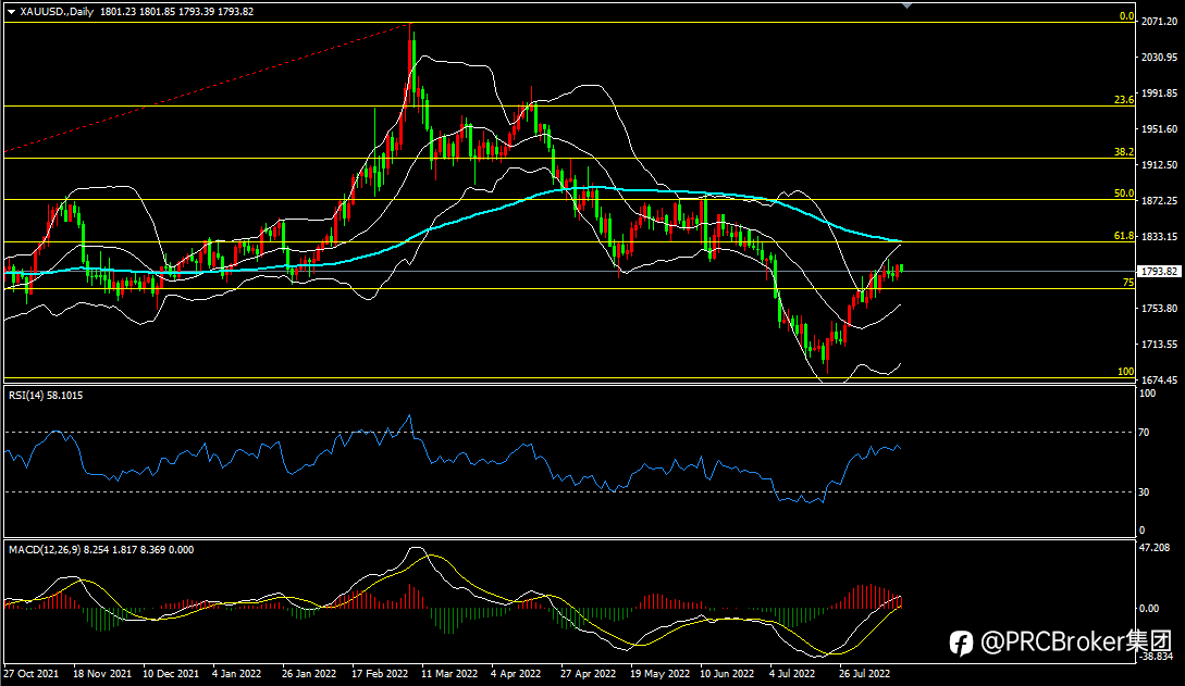 PRCBroker:20220815今日汇评