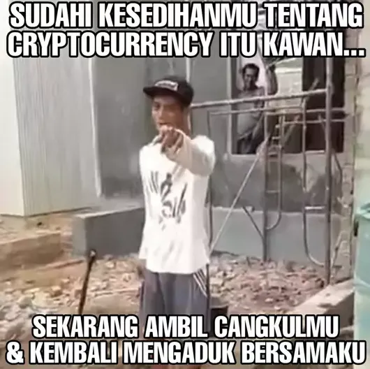 feed image