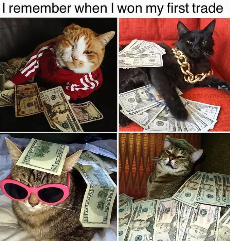 feed image