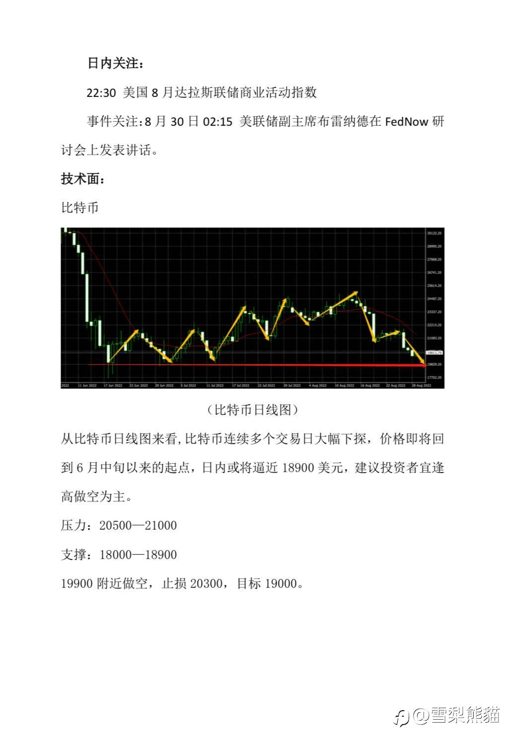 29/8拓利汇评