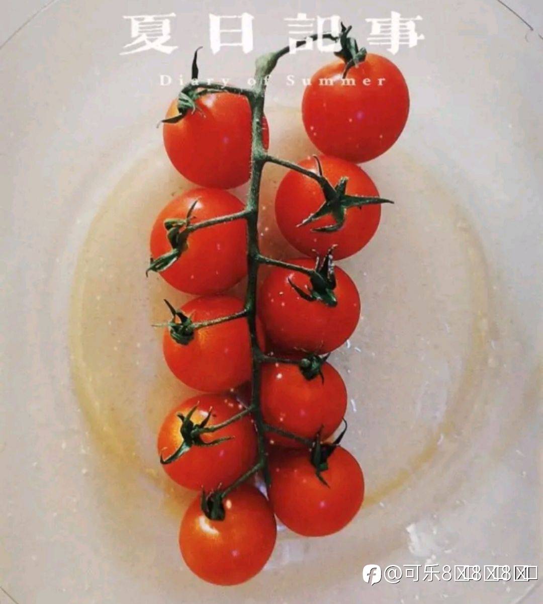 feed-image-1