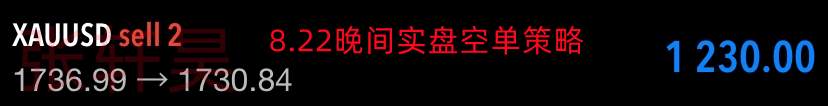 张轩昊：黄金整体仍保持走弱势头 突破1750-1760美元有望减低进一步下行的动能