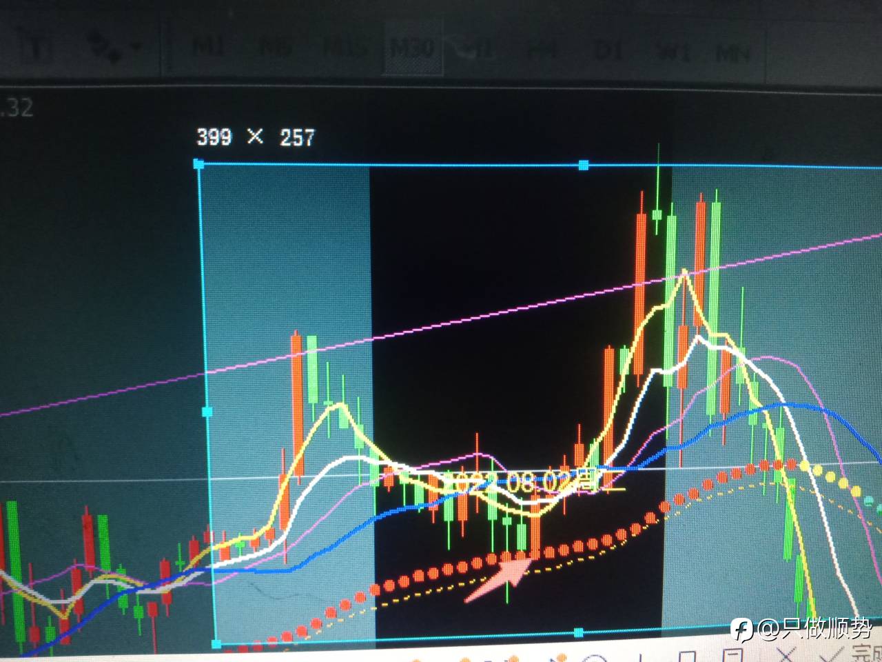 feed-image-3