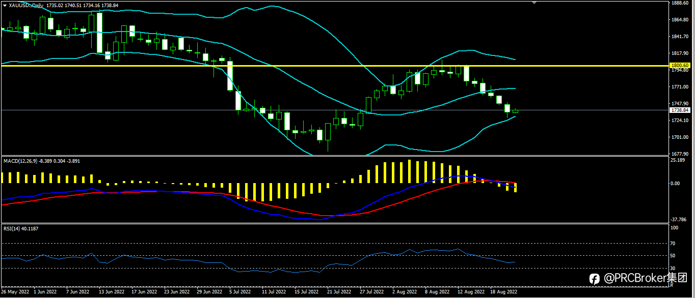 RCBroker:20220823今日汇评