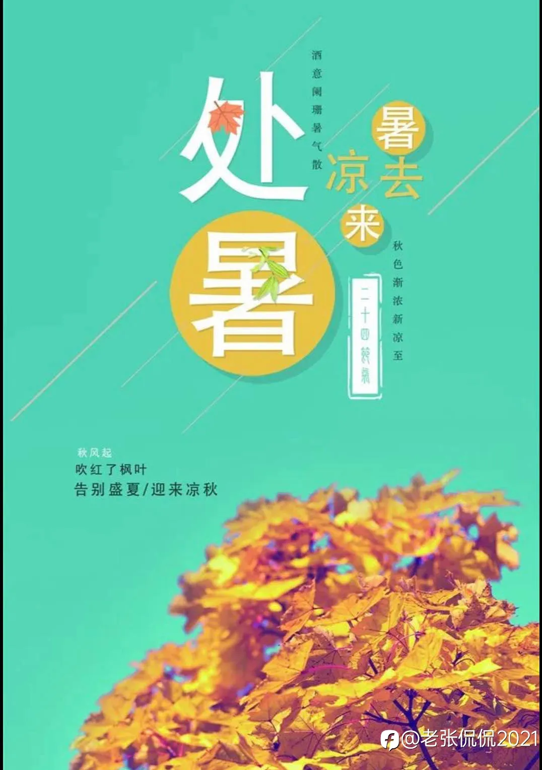 feed image