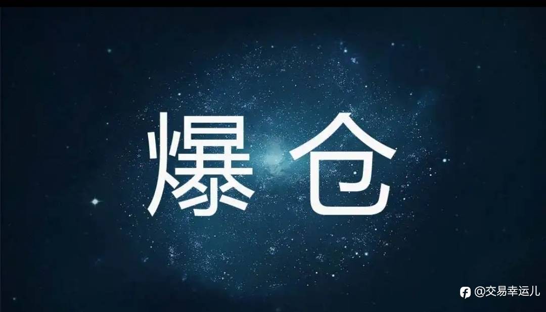 feed-image-0