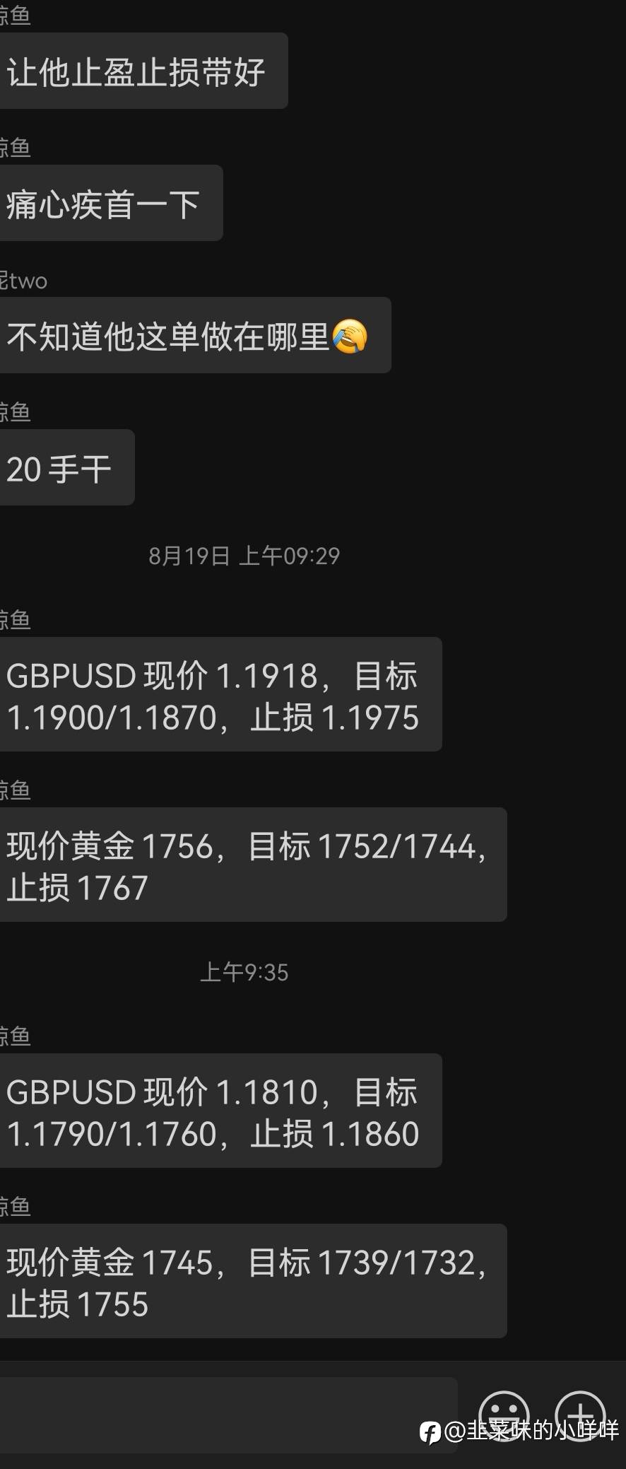 feed-image-0