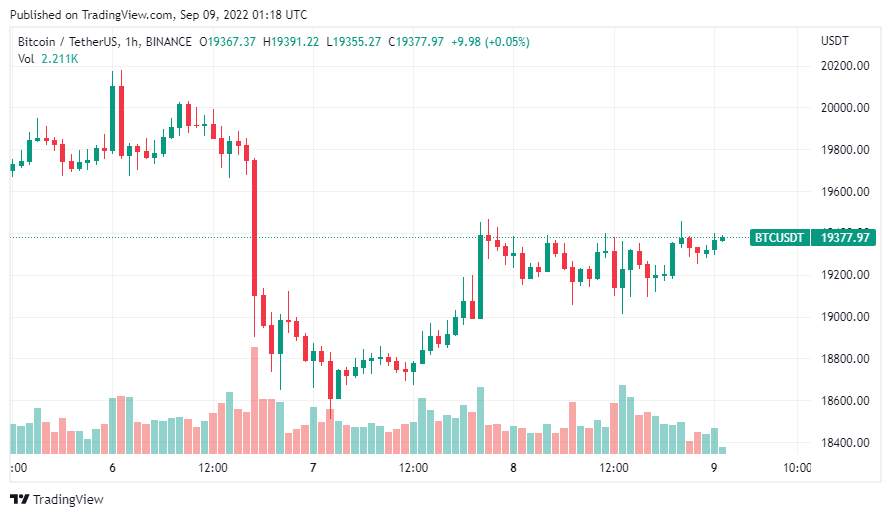 Giá Coin hôm nay 9/9: Bitcoin, altcoin và chứng khoán Mỹ đều tăng điểm giữa lúc ECB tăng lãi suất 75 bps