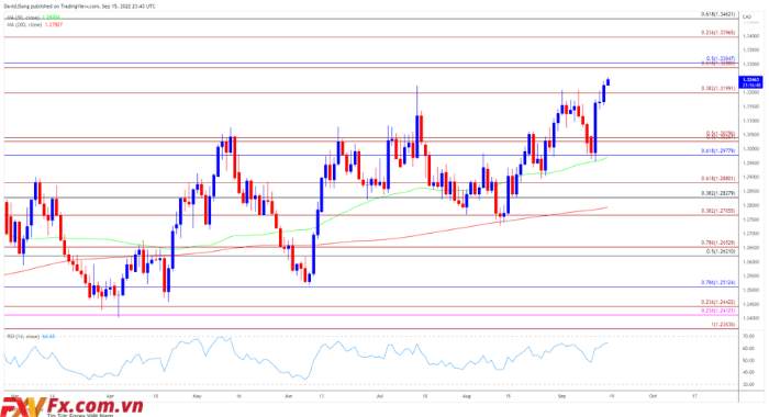 USD/CAD phục hồi từ SMA 50 ngày đến Phạm vi mở cửa tháng 9 rõ ràng