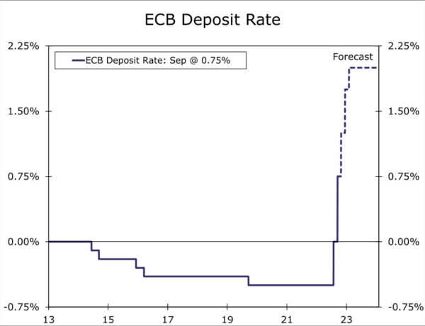 European Central Bank Delivers Record Rate Hike, Signals Further Tightening