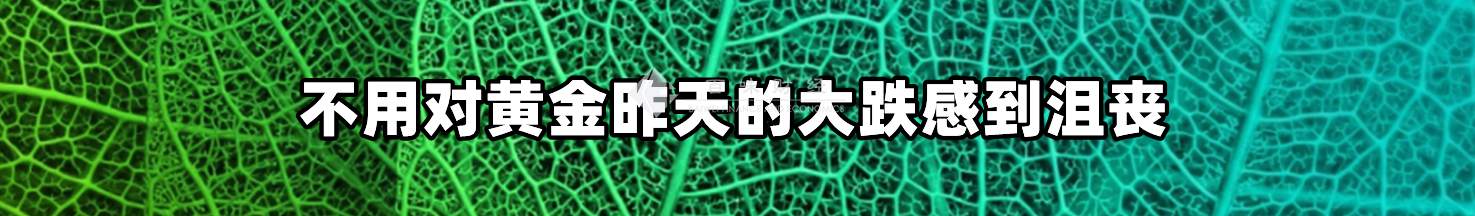 不用对黄金昨天的大跌感到沮丧