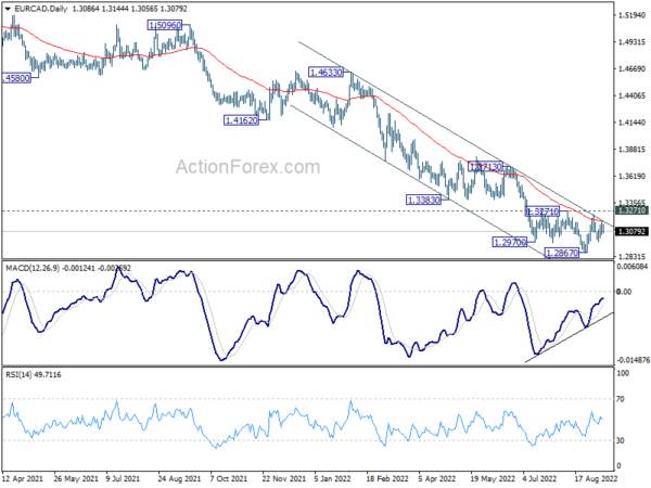 Dollar Rally Halted, Swiss Franc Outshone Euro