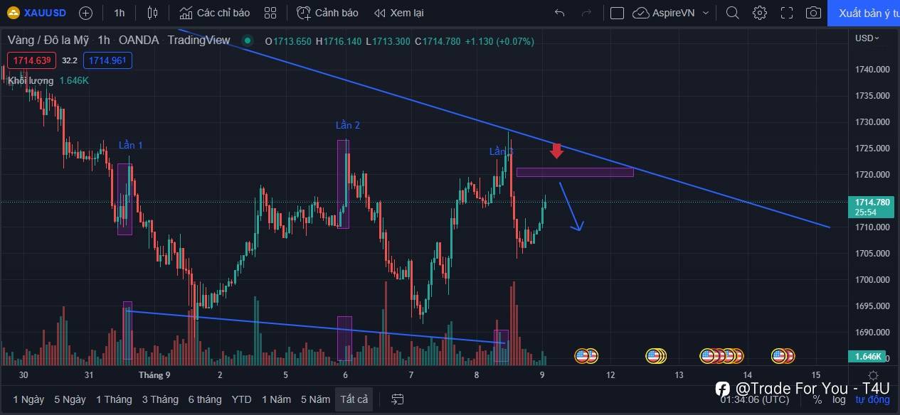 Phân tích Vàng 09/09: Vàng vẫn chịu áp lực giảm sau khi ECB tăng lãi suất
