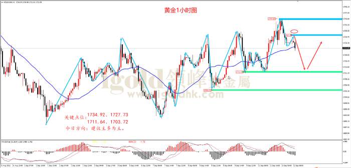 【日内策略】等待美国通胀落地 黄金宽幅震荡