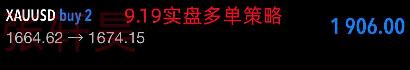 张轩昊：美联储加息预明年触顶、黄金多头等待届时归来