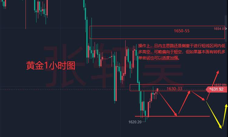 张轩昊：美元强势屡创新高，黄金跌跌不休尚未见底