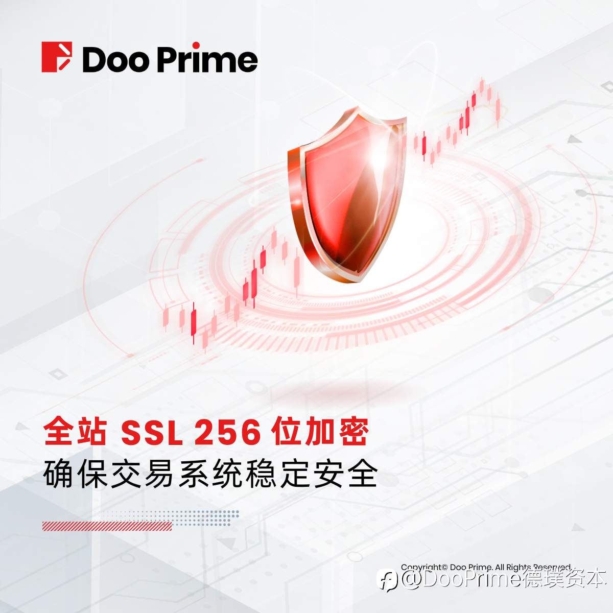 公司动态 | 尖端技术打造卓越性能，保障交易安全与稳定