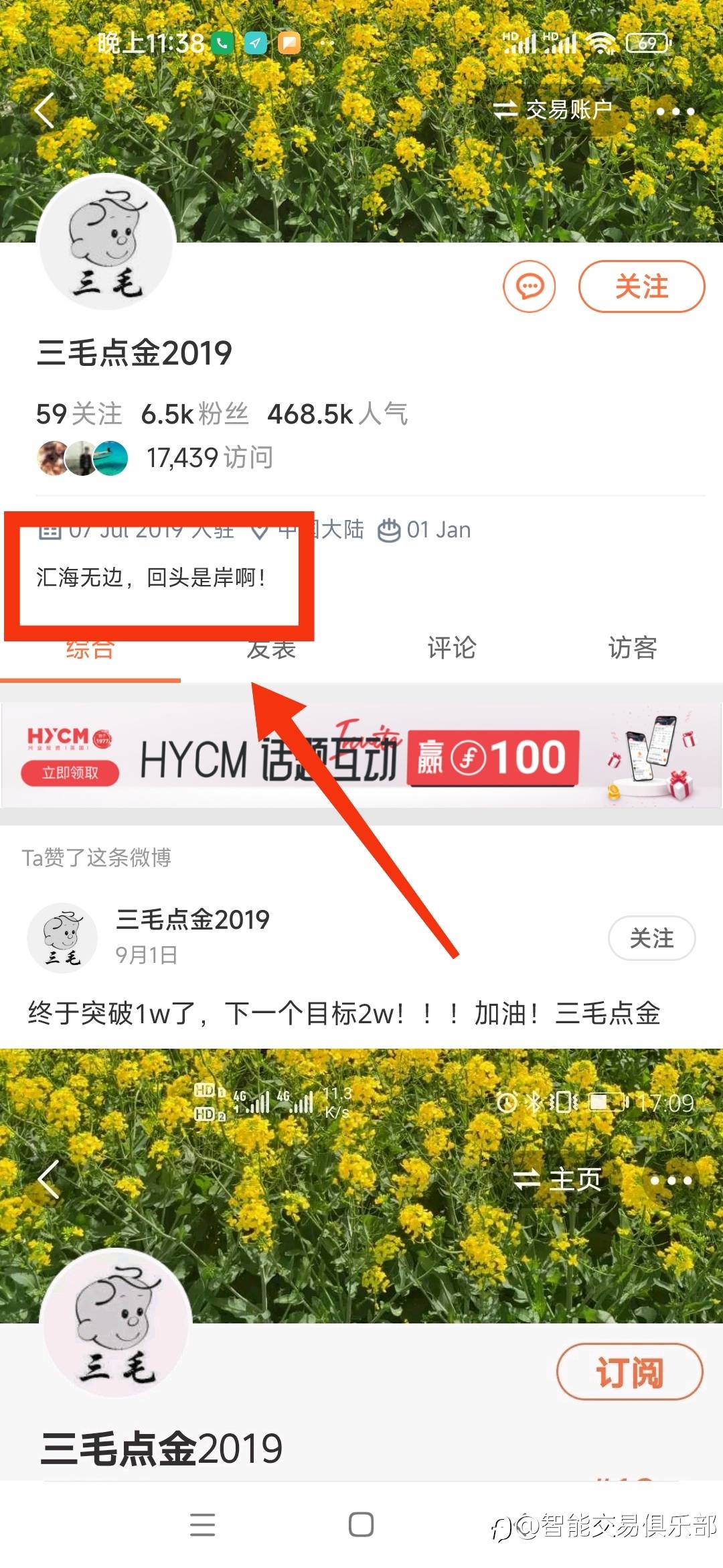 三毛最新动态