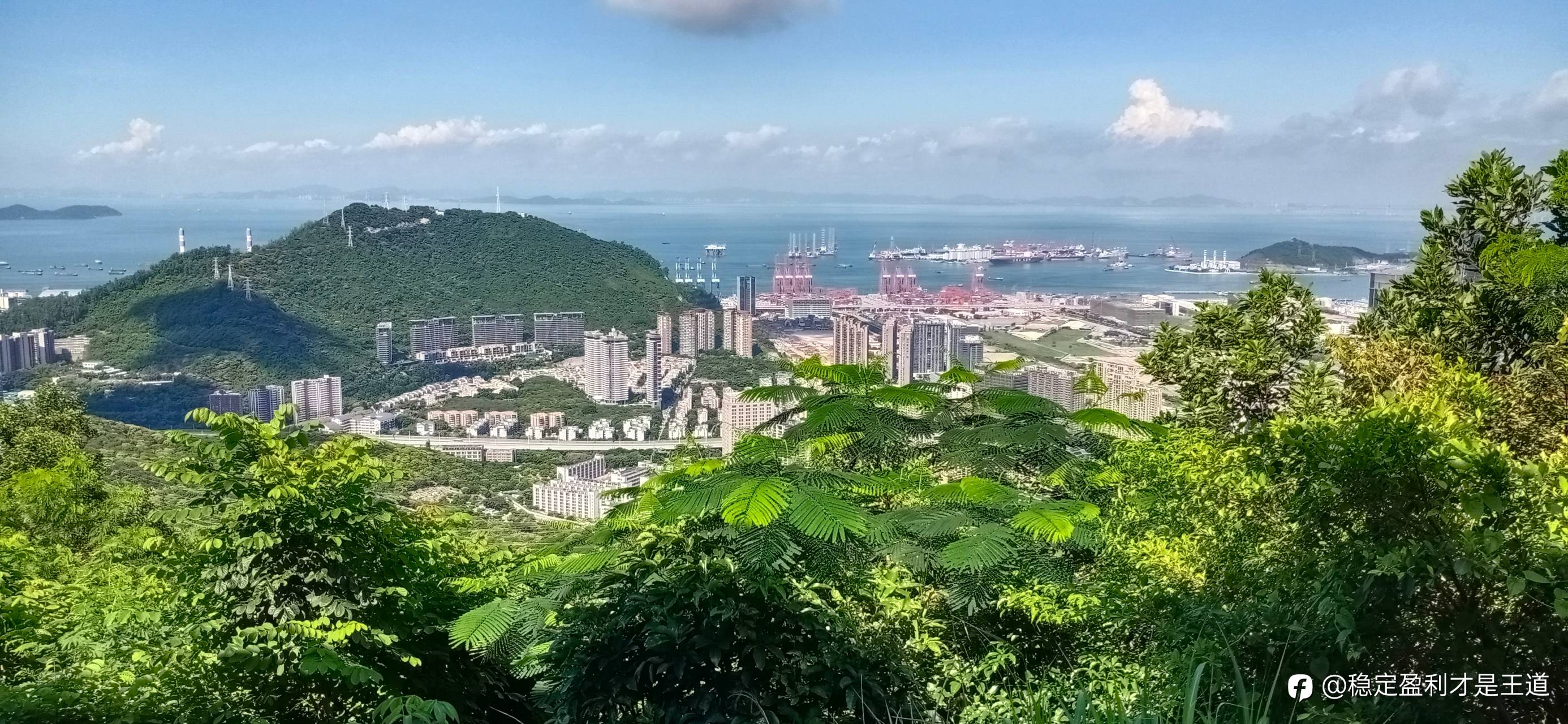 好久没来了