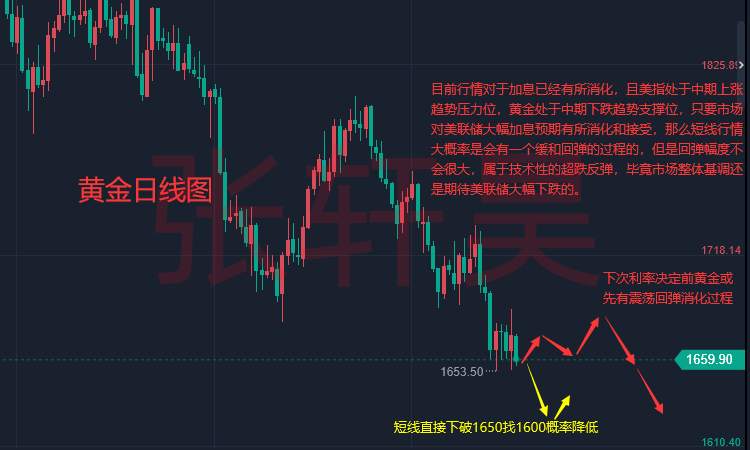 张轩昊：美联储加息预明年触顶、黄金多头等待届时归来