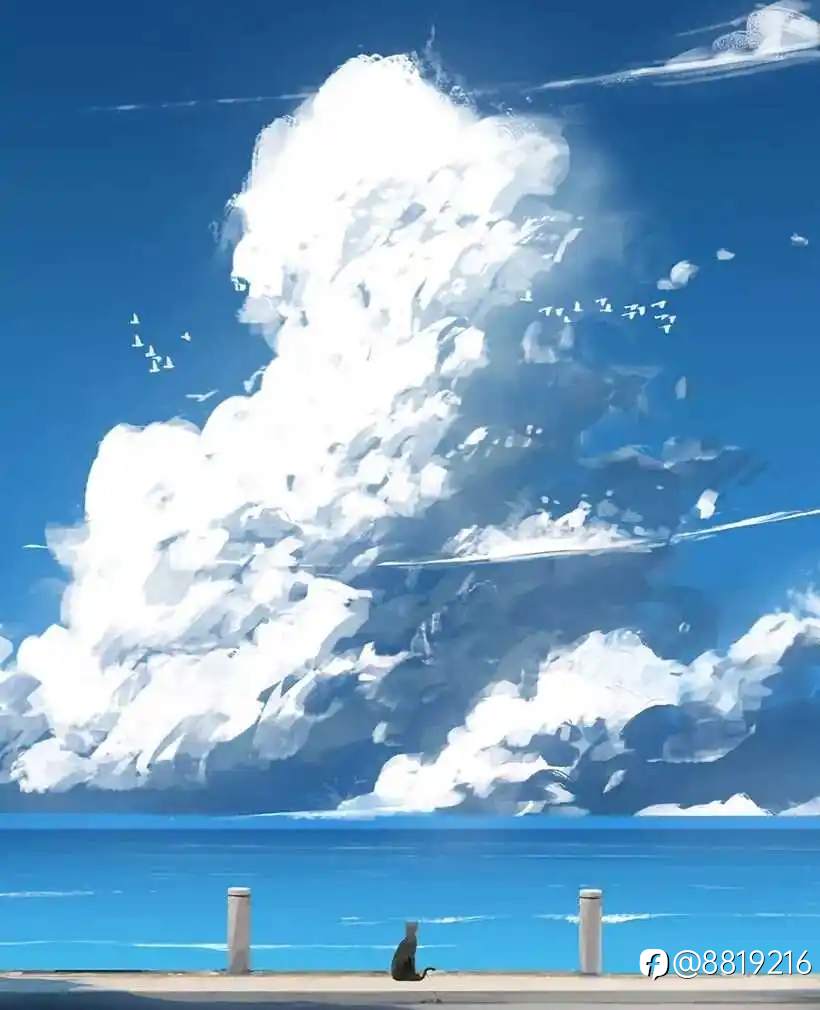 feed-image-0