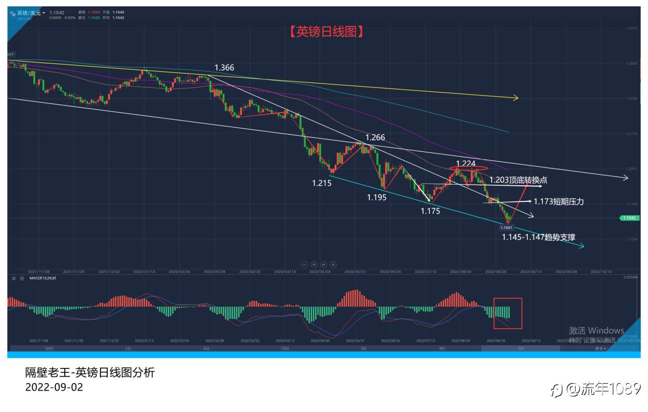 质疑 嘲讽 种种情绪夹杂 但也并不能改变摸底英镑的初心!