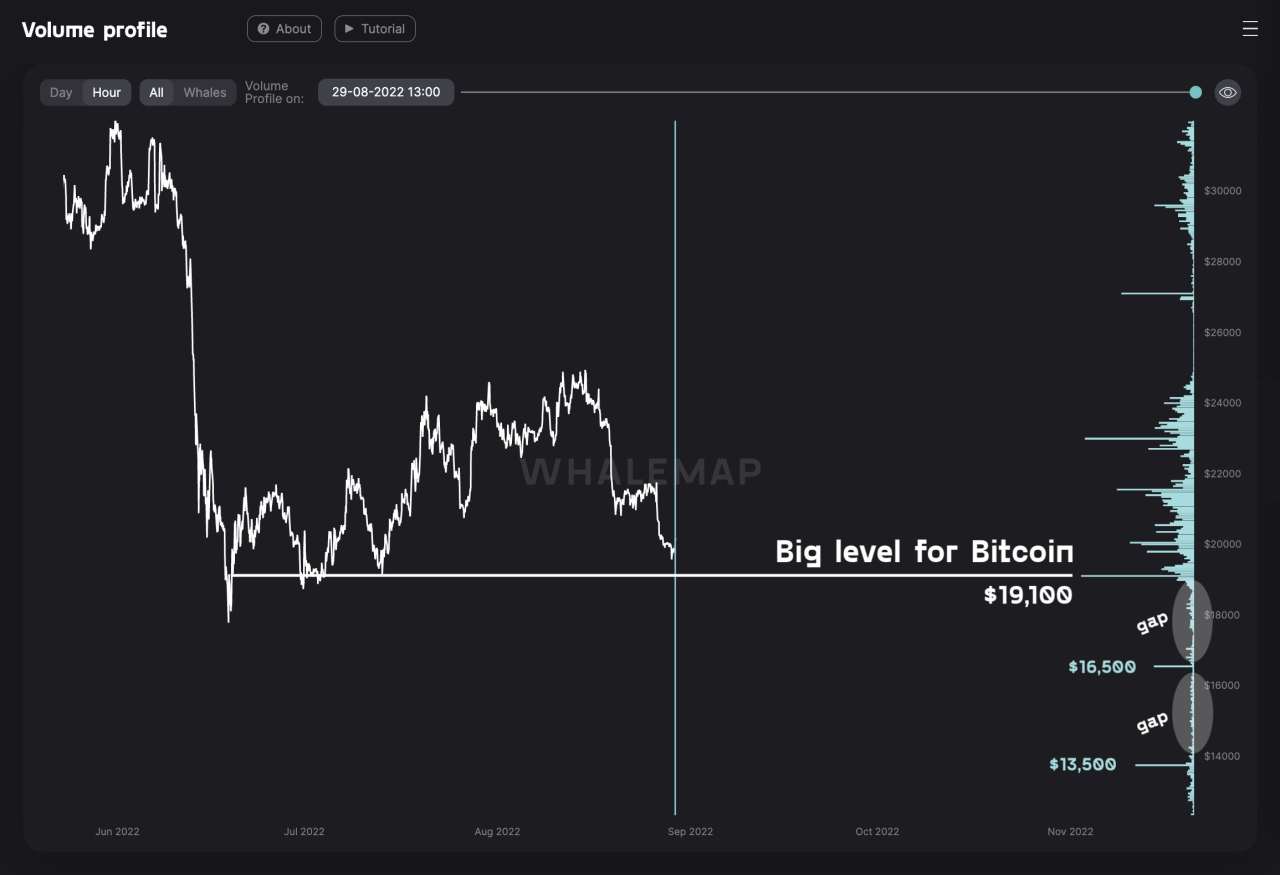 Giá Coin hôm nay 9/9: Bitcoin, altcoin và chứng khoán Mỹ đều tăng điểm giữa lúc ECB tăng lãi suất 75 bps