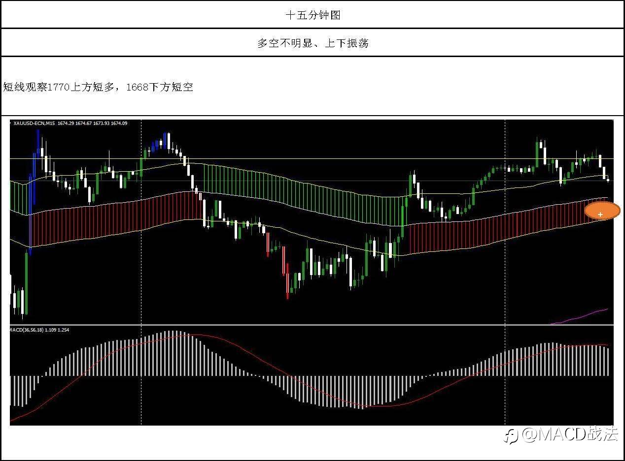 每天复盘分享