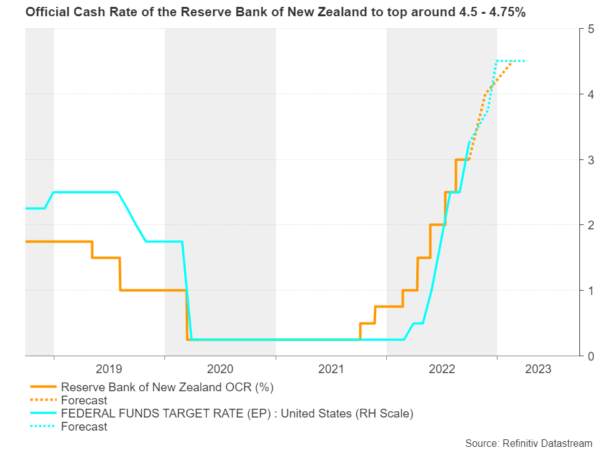 RBNZ to Stick to its Guns, Eyes on Guidance