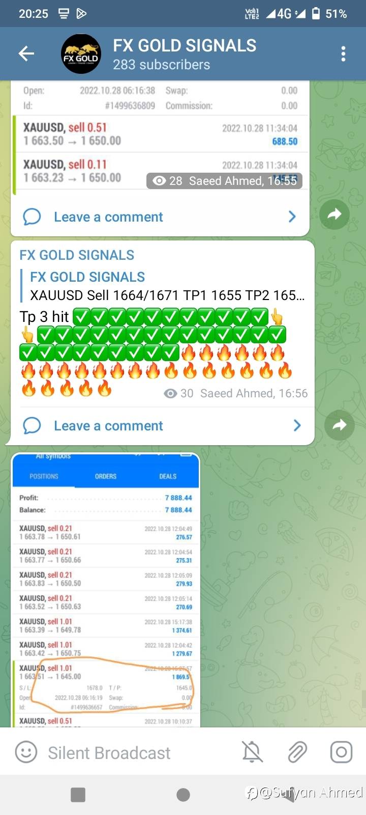 feed-image-1