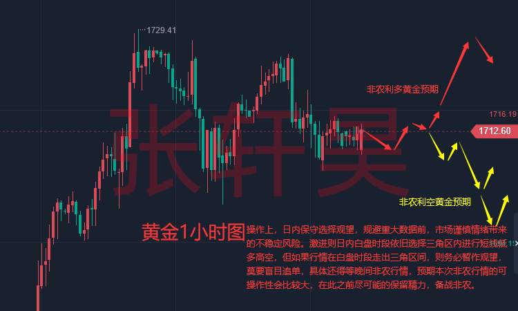 张轩昊：黄金依旧震荡静待非农指引出方向！保留精力，备战非农。