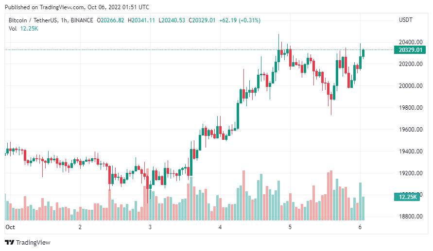 Giá coin hôm nay 06/10: Bitcoin tiếp tục giữ vững ngưỡng hỗ trợ $ 20.000, altcoin tăng nhẹ giữa lúc chứng khoán Mỹ không giữ được đà tăng mạnh từ 2 phiên trước đó