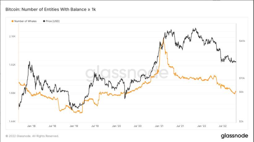 Bitcoin Chạm 19.500 USD Vào Cuối Tuần; Trader Dự Đoán Một Tuần Tăng Giá