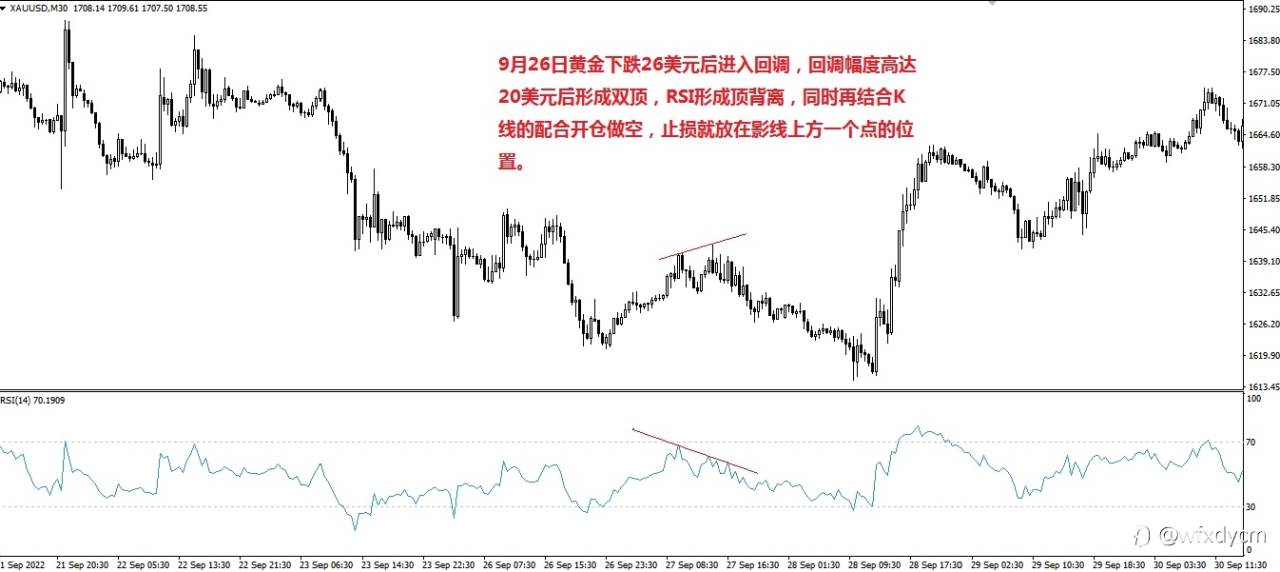 feed-image-2