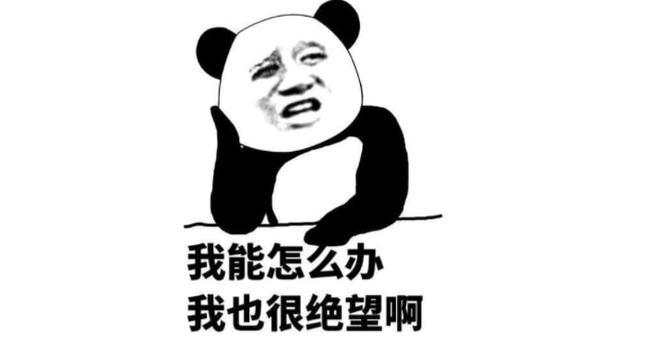 feed-image-2