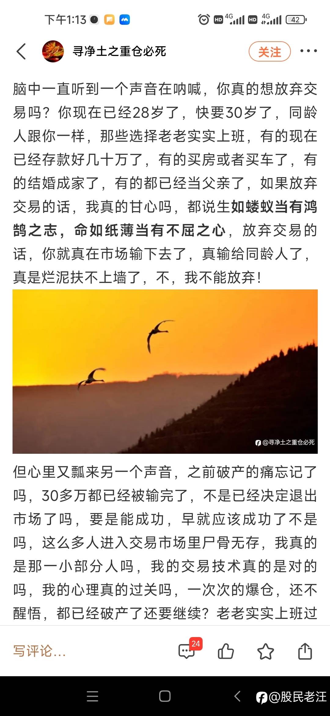 20年以后才能赚钱，三毛你能坚持吗？