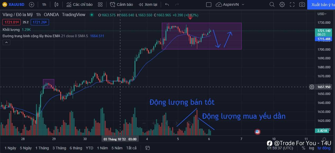 Phân tích Vàng 06/10: Di chuyển hẹp chờ Nonfarm
