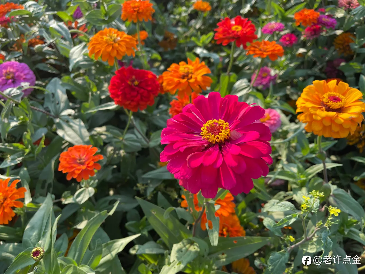 feed image