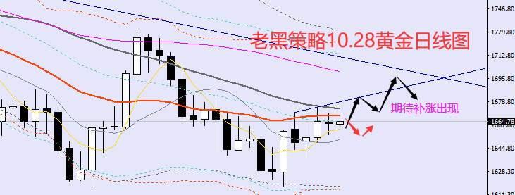 老黑策略：10.28外汇、黄金、原油分析策略