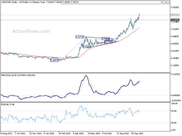 Quiet Markets Await Germany Ifo and US Consumer Confidence
