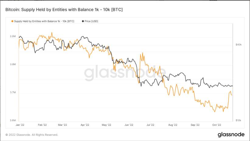 Bitcoin Chạm 19.500 USD Vào Cuối Tuần; Trader Dự Đoán Một Tuần Tăng Giá