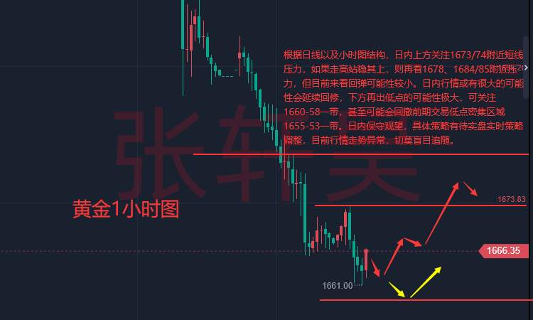 张轩昊：乌克兰多城市被袭 美乌通话 普京曾称将有强硬回应 黄金却难翻盘