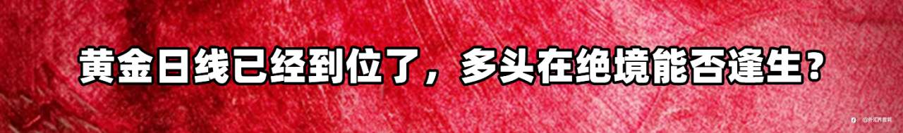 feed-image-0